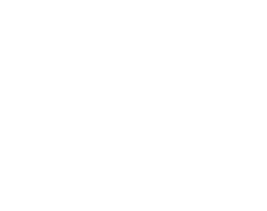 Logo bílé Detail Dílna